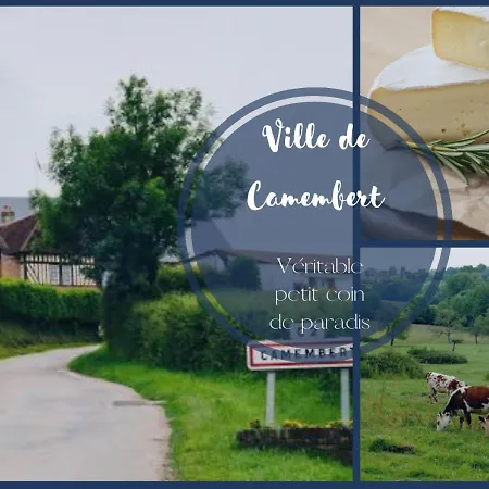 Belle Demeure Dans Un Grand Parc Arbore